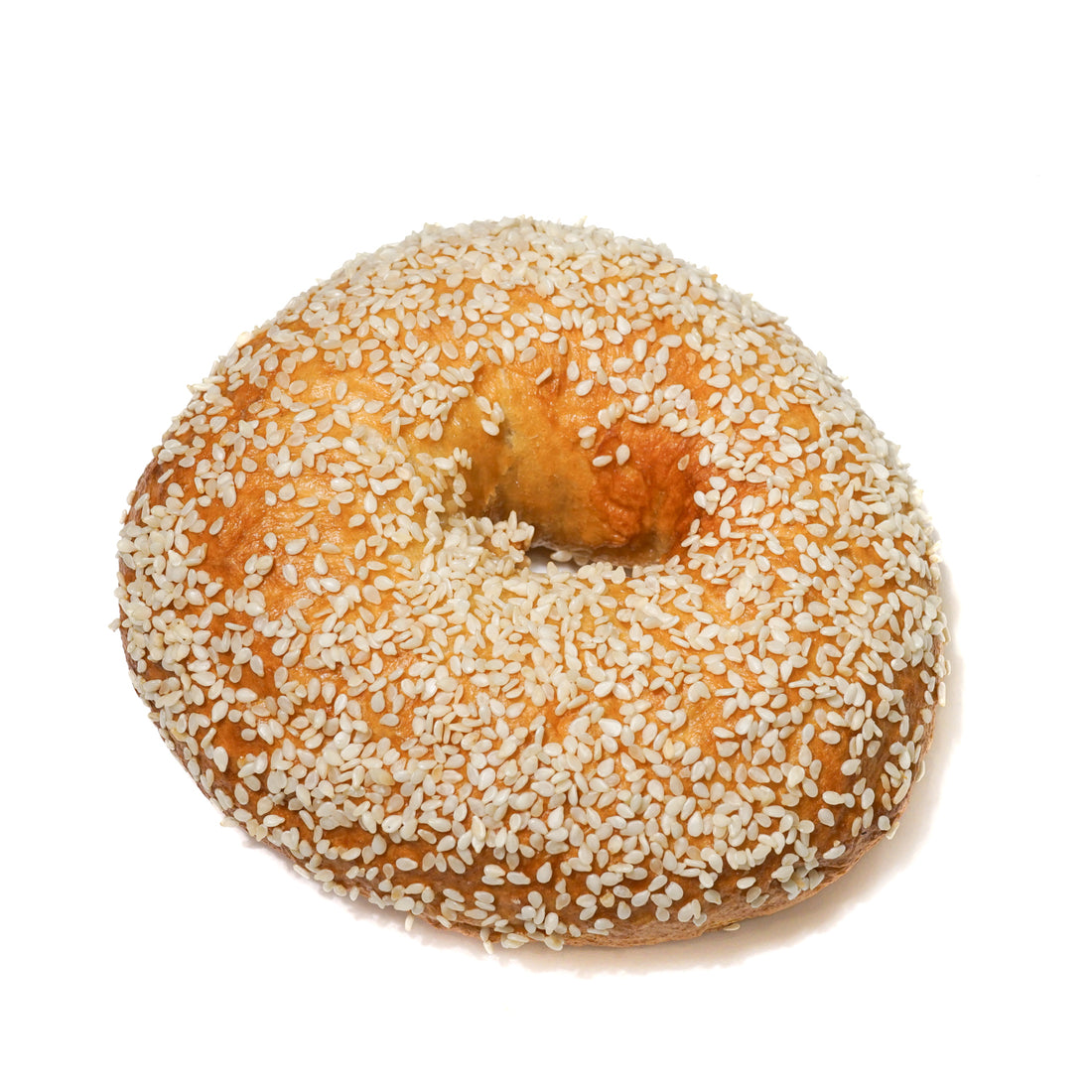 Sesame Seed Bagel