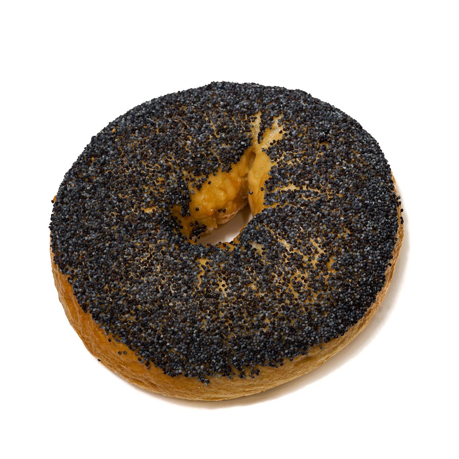 Poppy Seed Bagel