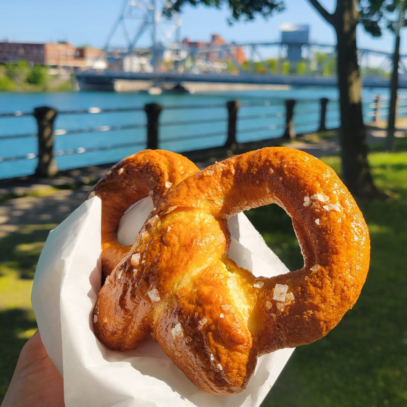 Sea Salt Soft Pretzel