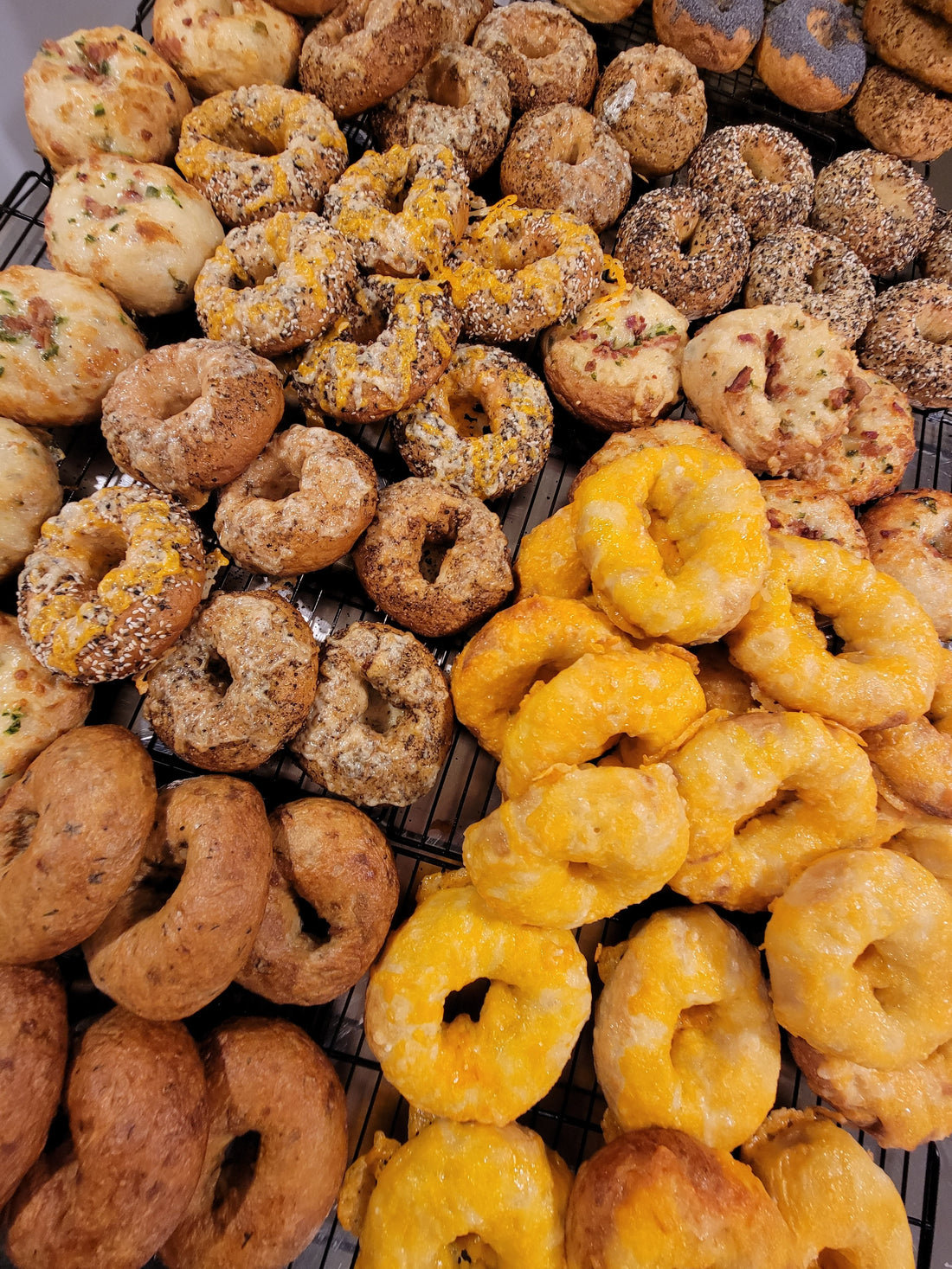 Bagel 6 Pack
